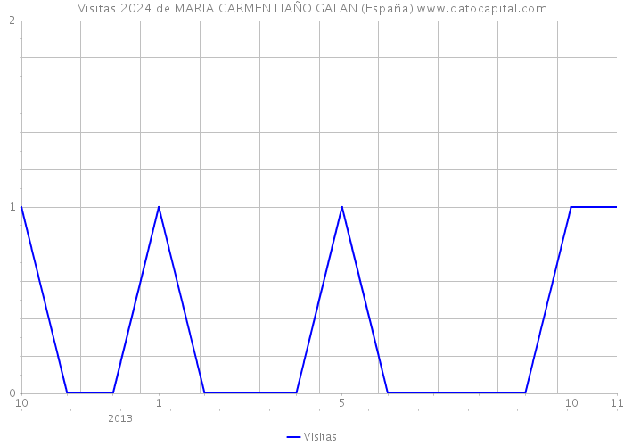 Visitas 2024 de MARIA CARMEN LIAÑO GALAN (España) 