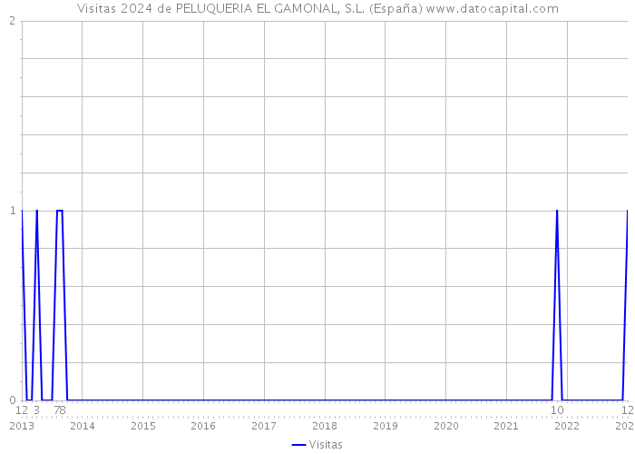 Visitas 2024 de PELUQUERIA EL GAMONAL, S.L. (España) 