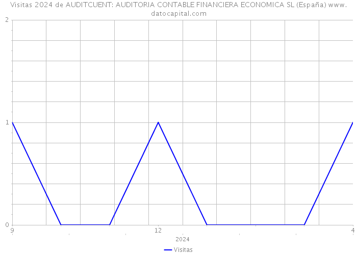 Visitas 2024 de AUDITCUENT: AUDITORIA CONTABLE FINANCIERA ECONOMICA SL (España) 