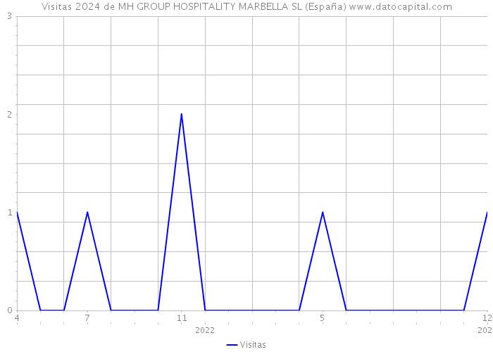 Visitas 2024 de MH GROUP HOSPITALITY MARBELLA SL (España) 