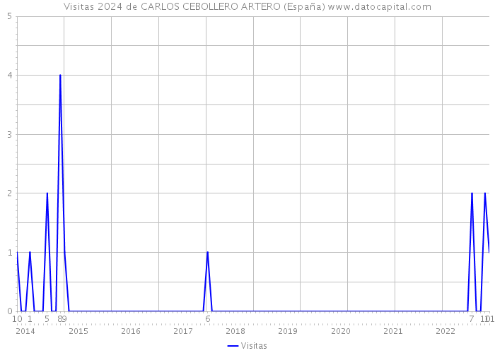 Visitas 2024 de CARLOS CEBOLLERO ARTERO (España) 