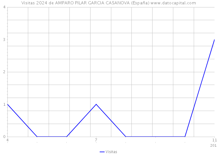 Visitas 2024 de AMPARO PILAR GARCIA CASANOVA (España) 