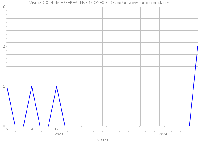 Visitas 2024 de ERBEREA INVERSIONES SL (España) 