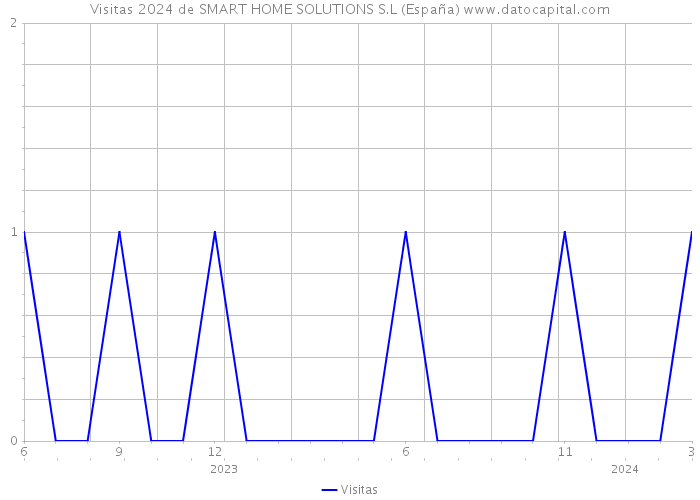 Visitas 2024 de SMART HOME SOLUTIONS S.L (España) 