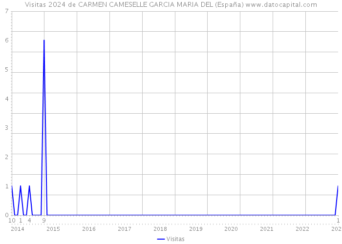Visitas 2024 de CARMEN CAMESELLE GARCIA MARIA DEL (España) 