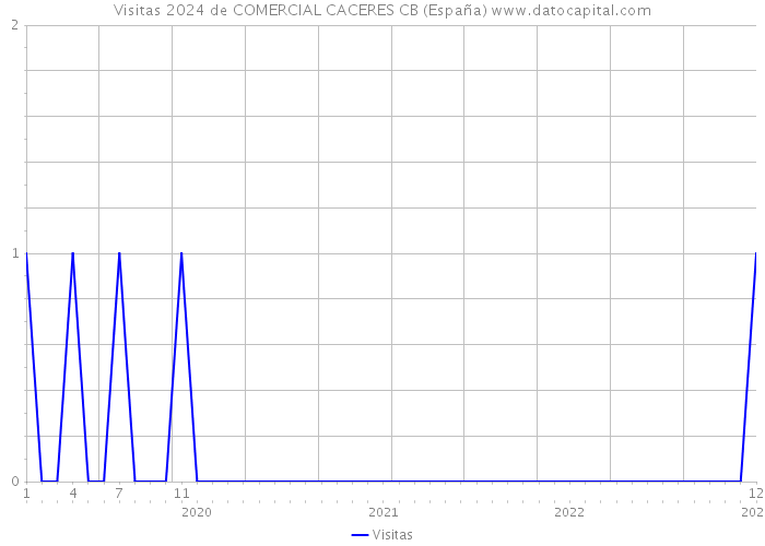 Visitas 2024 de COMERCIAL CACERES CB (España) 