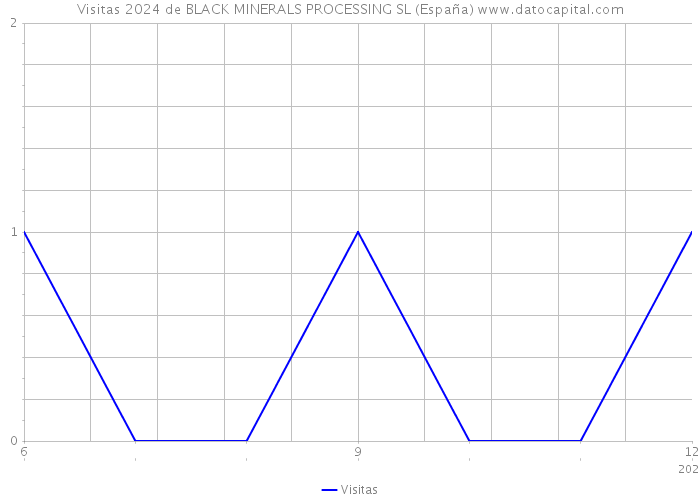 Visitas 2024 de BLACK MINERALS PROCESSING SL (España) 