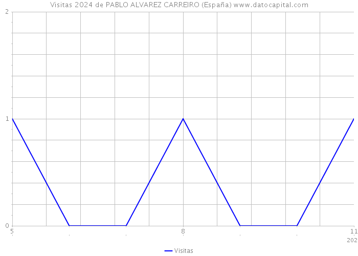 Visitas 2024 de PABLO ALVAREZ CARREIRO (España) 