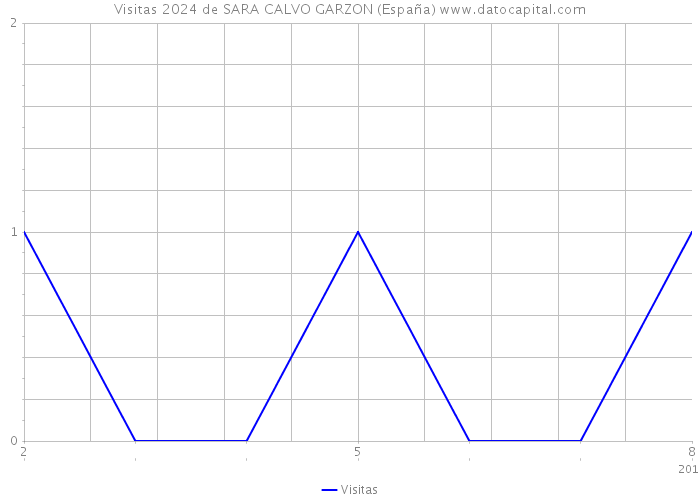 Visitas 2024 de SARA CALVO GARZON (España) 