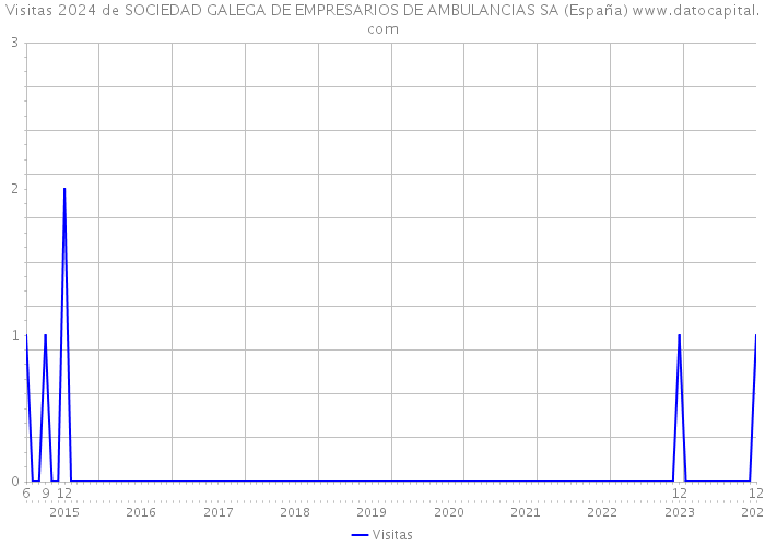 Visitas 2024 de SOCIEDAD GALEGA DE EMPRESARIOS DE AMBULANCIAS SA (España) 