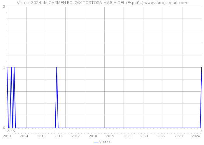 Visitas 2024 de CARMEN BOLOIX TORTOSA MARIA DEL (España) 