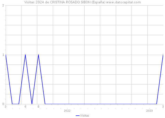 Visitas 2024 de CRISTINA ROSADO SIBON (España) 