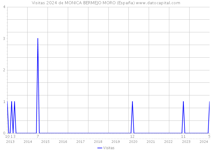 Visitas 2024 de MONICA BERMEJO MORO (España) 