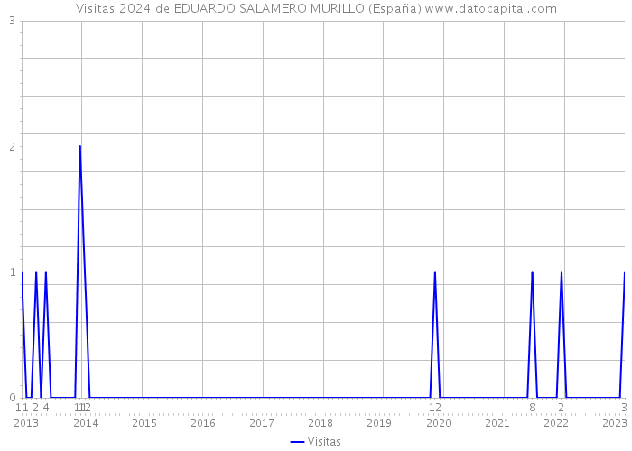 Visitas 2024 de EDUARDO SALAMERO MURILLO (España) 