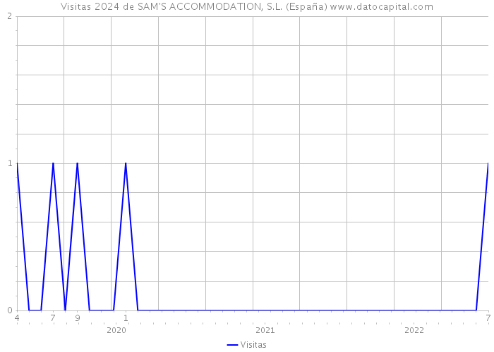 Visitas 2024 de SAM'S ACCOMMODATION, S.L. (España) 