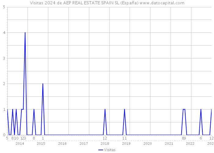 Visitas 2024 de AEP REAL ESTATE SPAIN SL (España) 