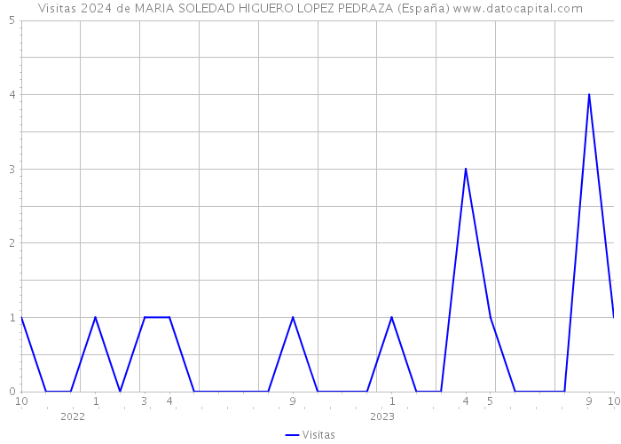 Visitas 2024 de MARIA SOLEDAD HIGUERO LOPEZ PEDRAZA (España) 