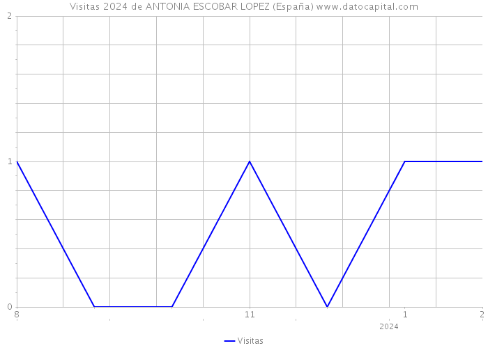 Visitas 2024 de ANTONIA ESCOBAR LOPEZ (España) 