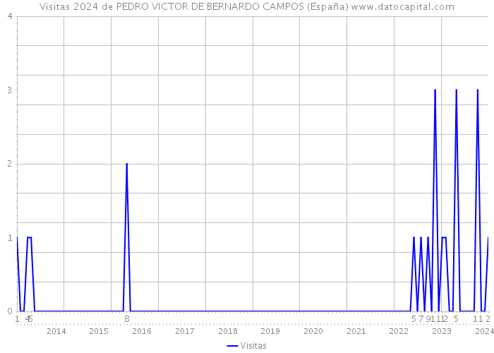Visitas 2024 de PEDRO VICTOR DE BERNARDO CAMPOS (España) 