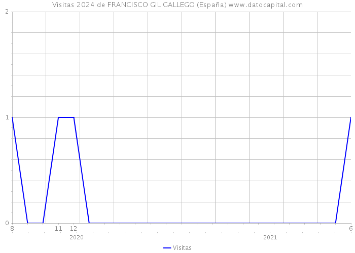 Visitas 2024 de FRANCISCO GIL GALLEGO (España) 