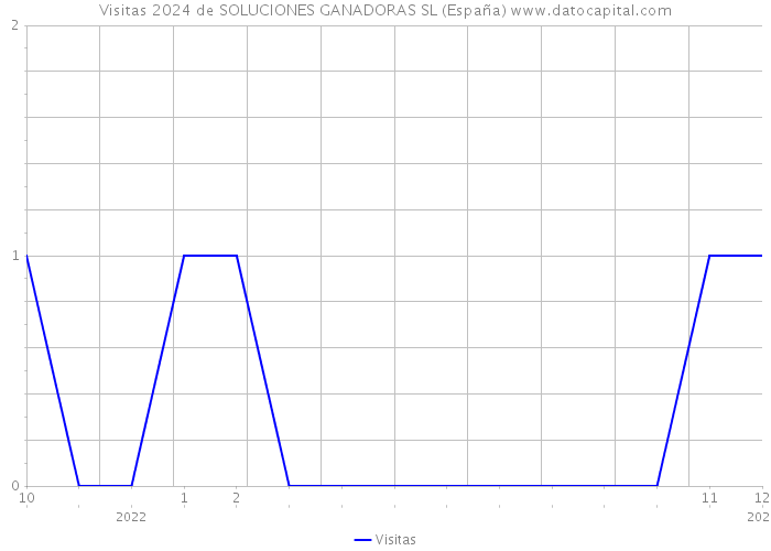 Visitas 2024 de SOLUCIONES GANADORAS SL (España) 