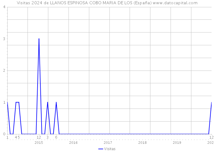 Visitas 2024 de LLANOS ESPINOSA COBO MARIA DE LOS (España) 