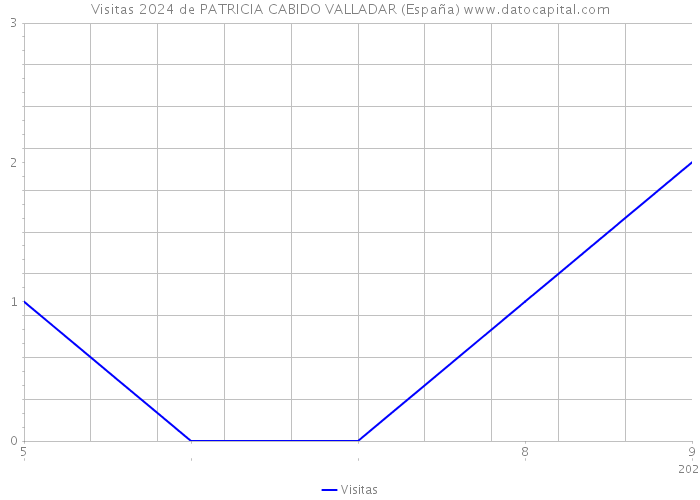 Visitas 2024 de PATRICIA CABIDO VALLADAR (España) 