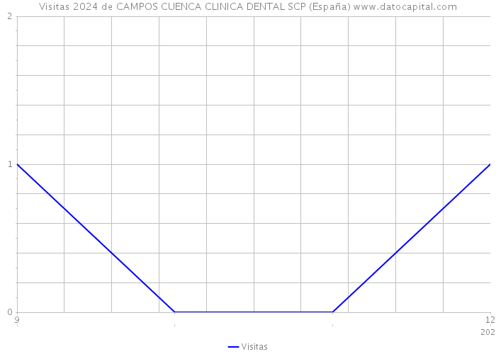 Visitas 2024 de CAMPOS CUENCA CLINICA DENTAL SCP (España) 