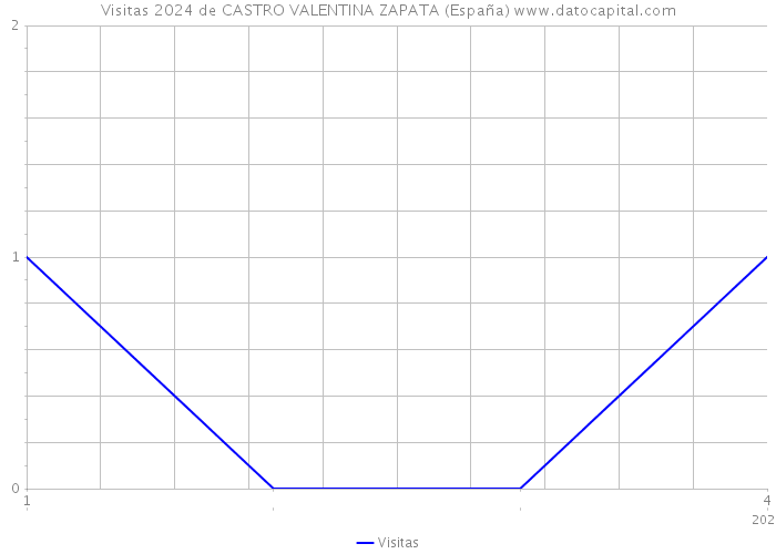 Visitas 2024 de CASTRO VALENTINA ZAPATA (España) 