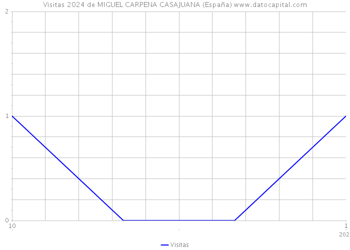 Visitas 2024 de MIGUEL CARPENA CASAJUANA (España) 