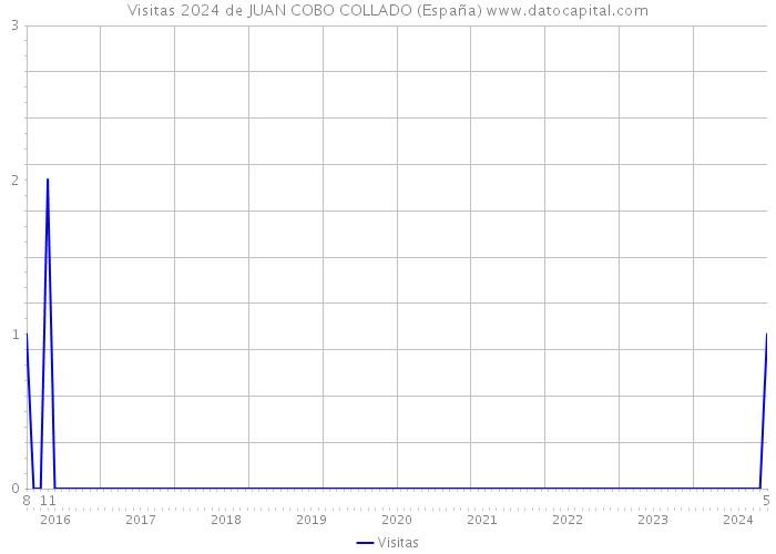 Visitas 2024 de JUAN COBO COLLADO (España) 
