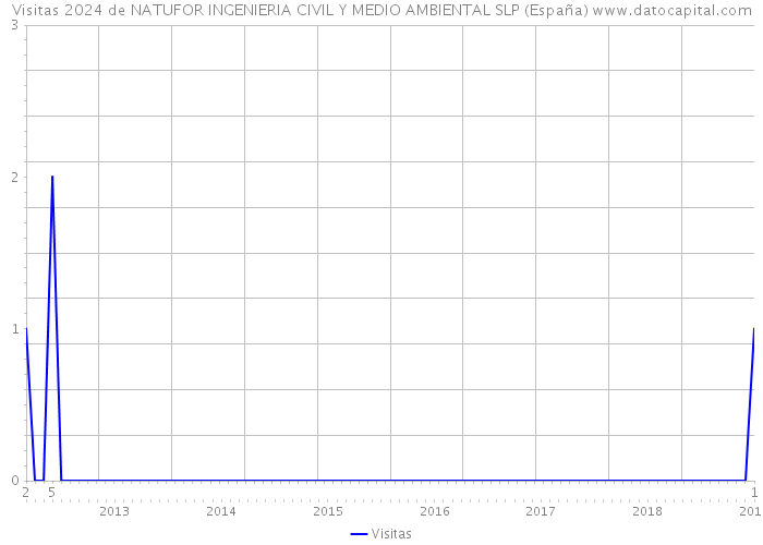 Visitas 2024 de NATUFOR INGENIERIA CIVIL Y MEDIO AMBIENTAL SLP (España) 