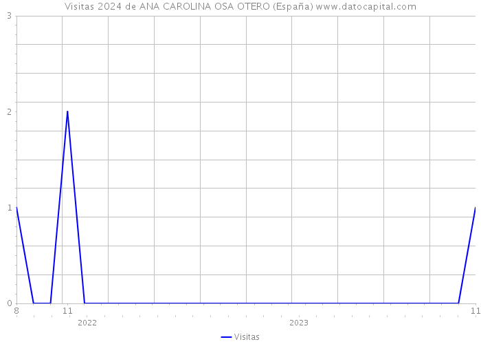 Visitas 2024 de ANA CAROLINA OSA OTERO (España) 