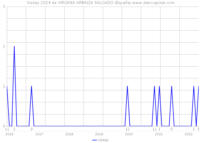 Visitas 2024 de VIRGINIA ARBAIZA SALGADO (España) 