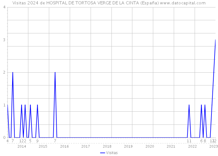 Visitas 2024 de HOSPITAL DE TORTOSA VERGE DE LA CINTA (España) 