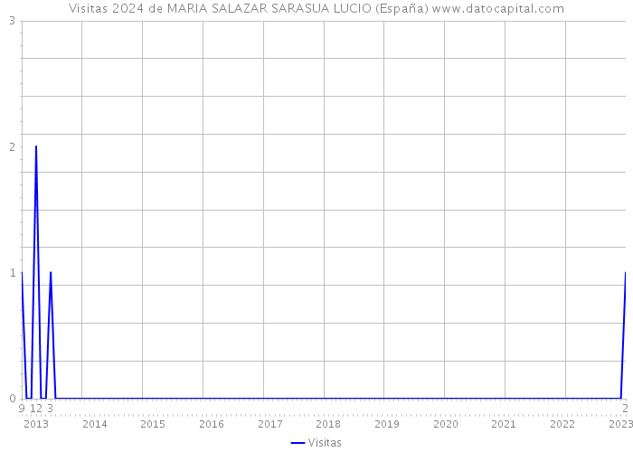 Visitas 2024 de MARIA SALAZAR SARASUA LUCIO (España) 