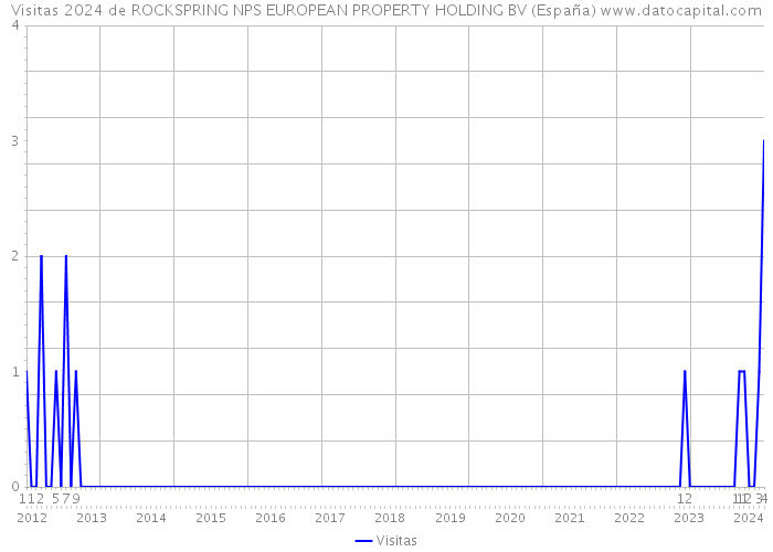 Visitas 2024 de ROCKSPRING NPS EUROPEAN PROPERTY HOLDING BV (España) 