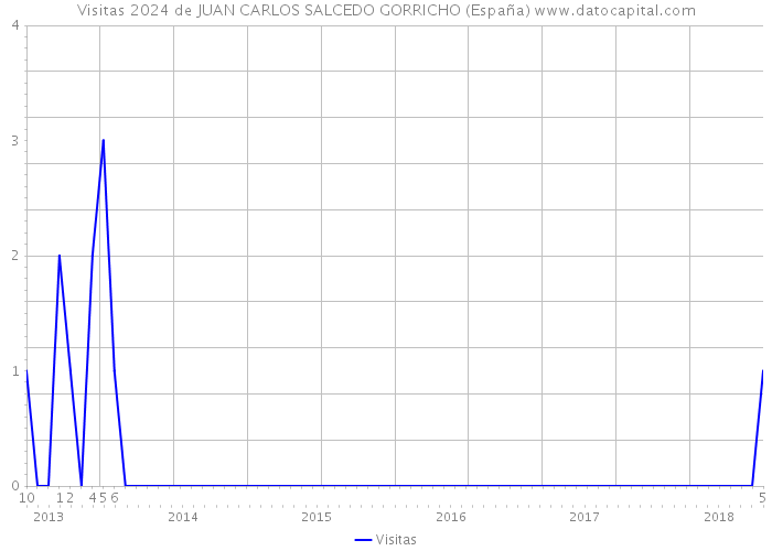 Visitas 2024 de JUAN CARLOS SALCEDO GORRICHO (España) 