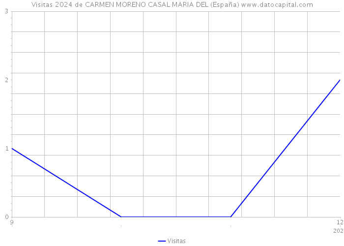 Visitas 2024 de CARMEN MORENO CASAL MARIA DEL (España) 