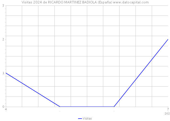 Visitas 2024 de RICARDO MARTINEZ BADIOLA (España) 