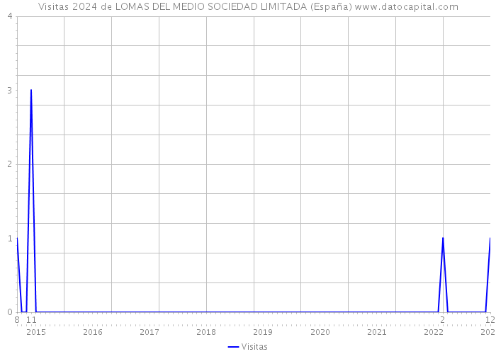 Visitas 2024 de LOMAS DEL MEDIO SOCIEDAD LIMITADA (España) 