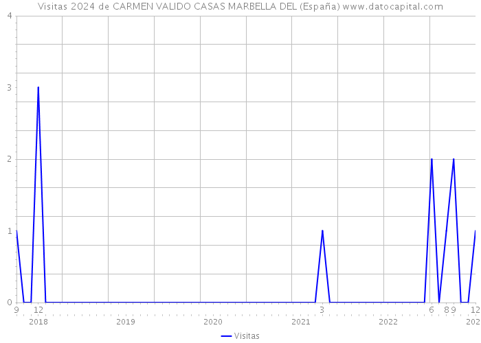Visitas 2024 de CARMEN VALIDO CASAS MARBELLA DEL (España) 