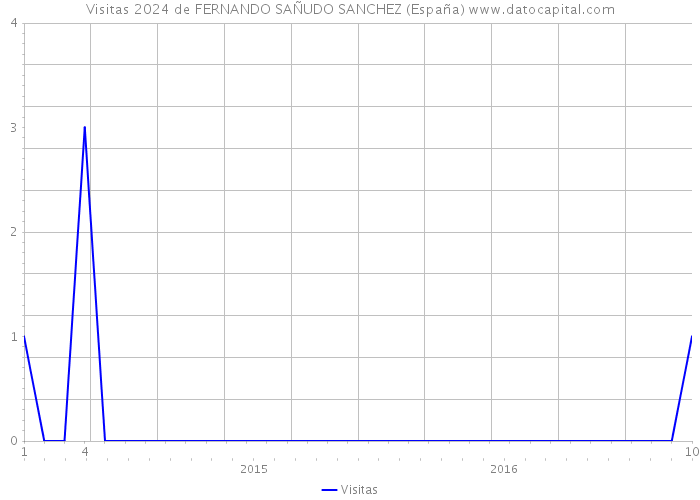 Visitas 2024 de FERNANDO SAÑUDO SANCHEZ (España) 