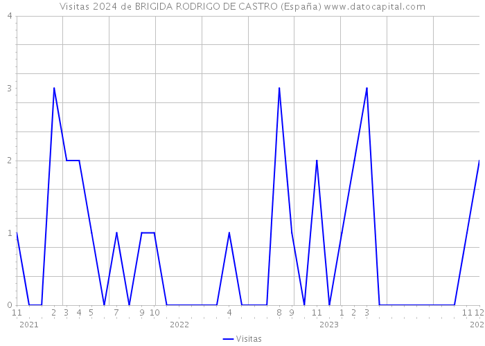 Visitas 2024 de BRIGIDA RODRIGO DE CASTRO (España) 
