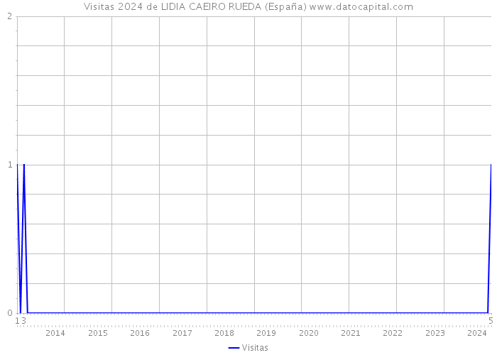 Visitas 2024 de LIDIA CAEIRO RUEDA (España) 