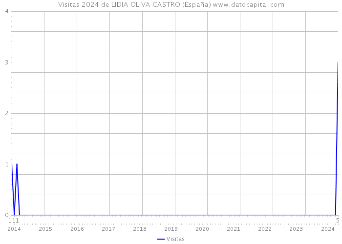 Visitas 2024 de LIDIA OLIVA CASTRO (España) 