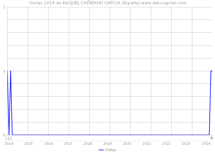 Visitas 2024 de RAQUEL CAÑIBANO GARCIA (España) 