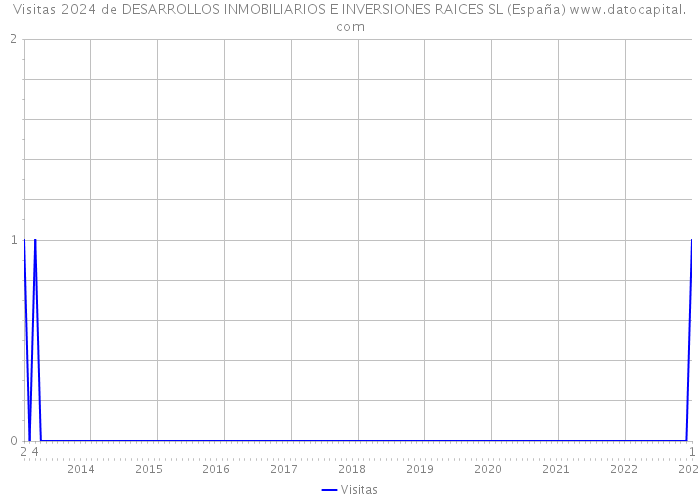 Visitas 2024 de DESARROLLOS INMOBILIARIOS E INVERSIONES RAICES SL (España) 