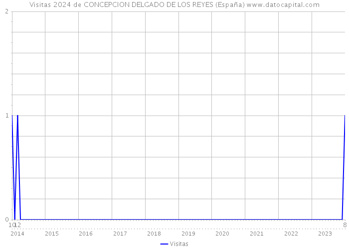 Visitas 2024 de CONCEPCION DELGADO DE LOS REYES (España) 
