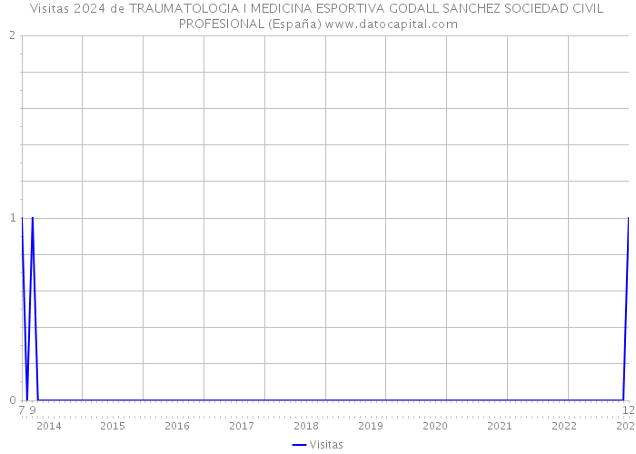 Visitas 2024 de TRAUMATOLOGIA I MEDICINA ESPORTIVA GODALL SANCHEZ SOCIEDAD CIVIL PROFESIONAL (España) 